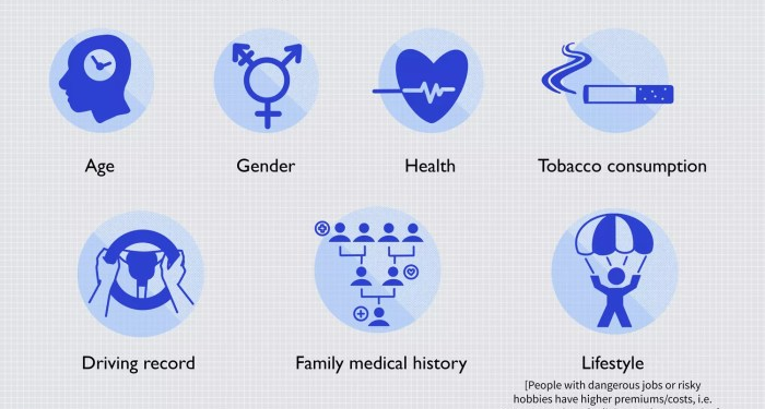 Your insurance premiums are affected by certain factors including age ...